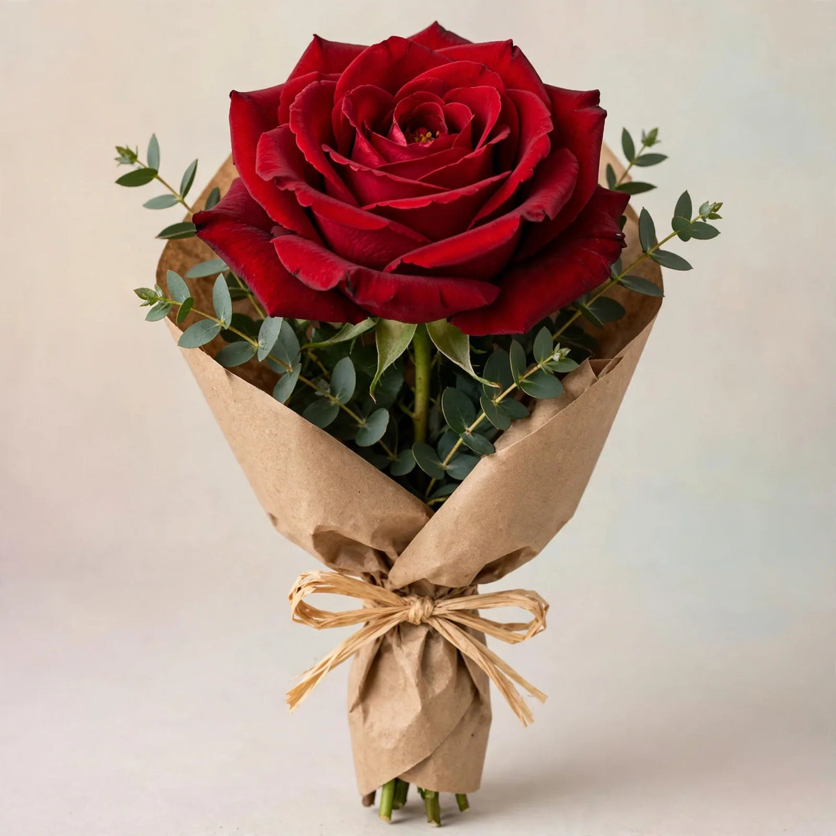 Single Crimson Passion Rose 🌹