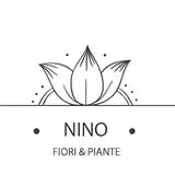 Nino Fiori e Piante
