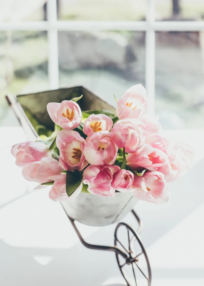 Tulipani rosa accanto a una finestra luminosa
