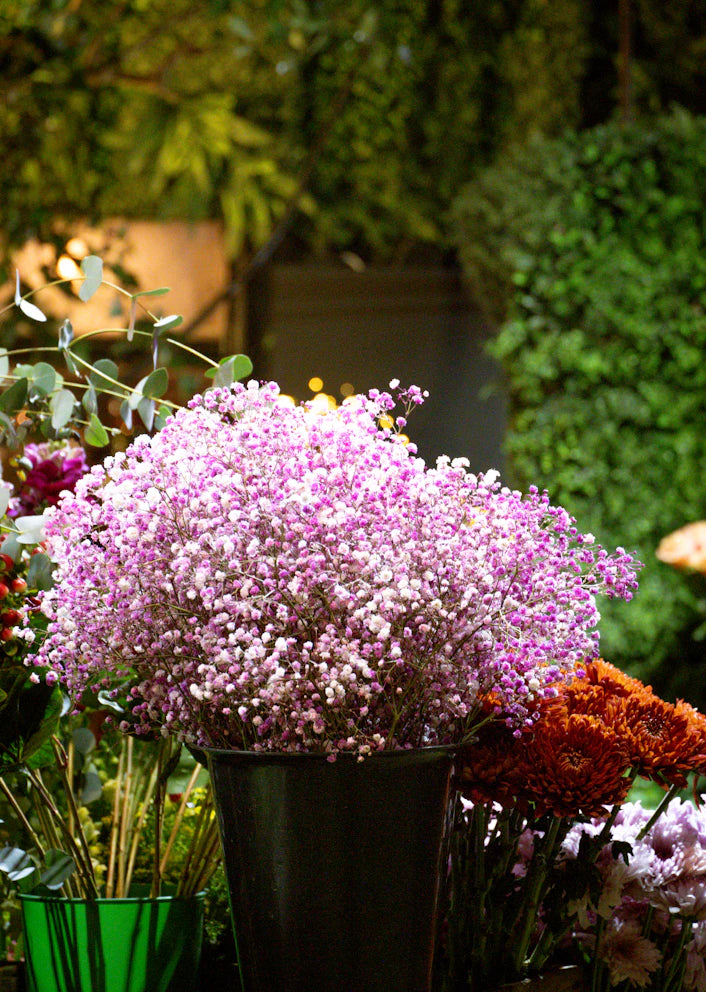 Fiori lilla disposti all’aperto